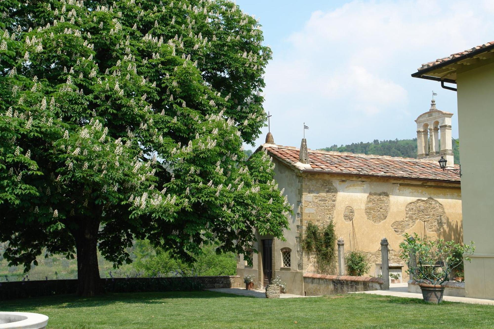 Relais Villa Belpoggio - Residenza D'Epoca Loro Ciuffenna Eksteriør billede