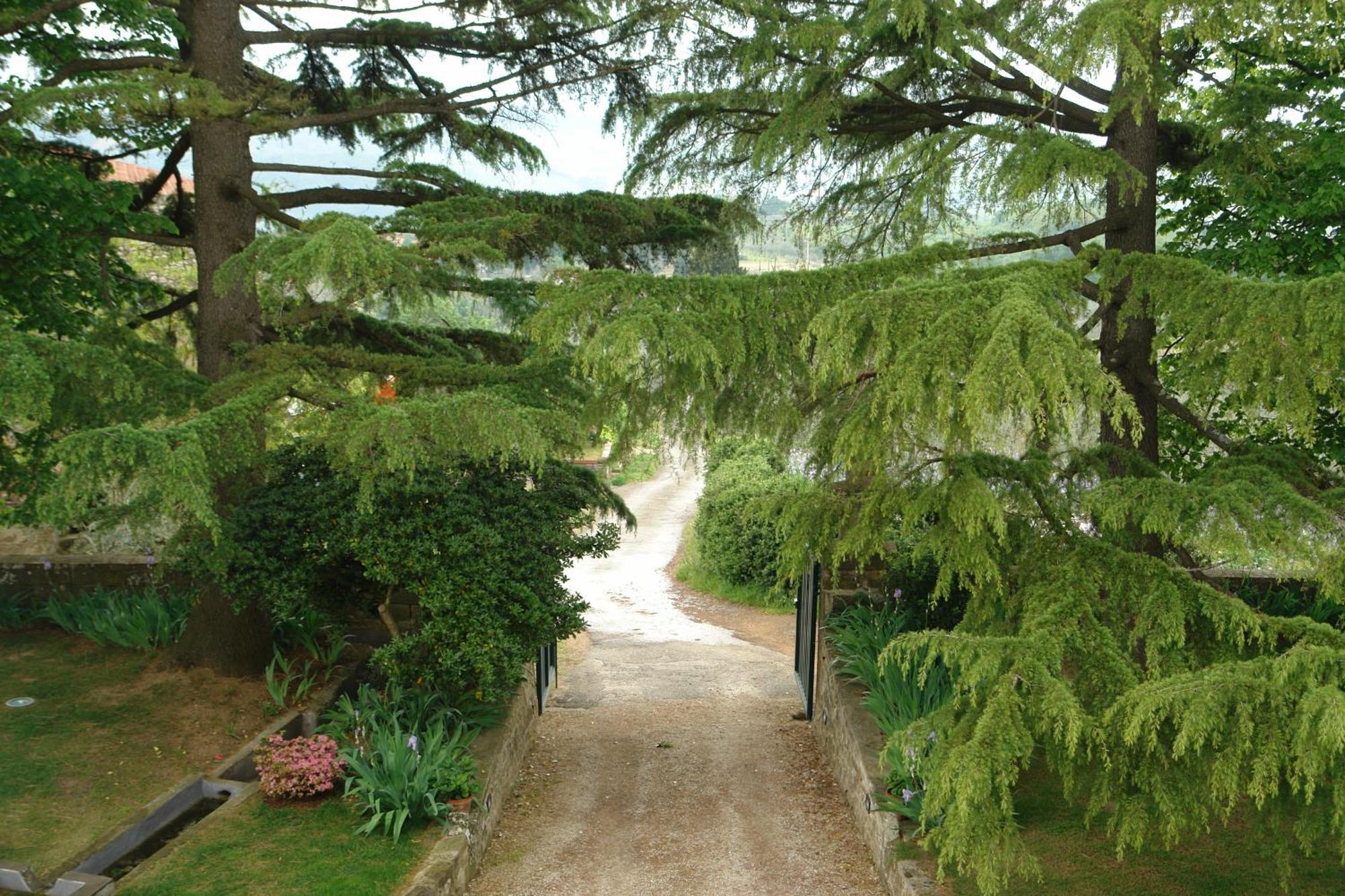 Relais Villa Belpoggio - Residenza D'Epoca Loro Ciuffenna Værelse billede